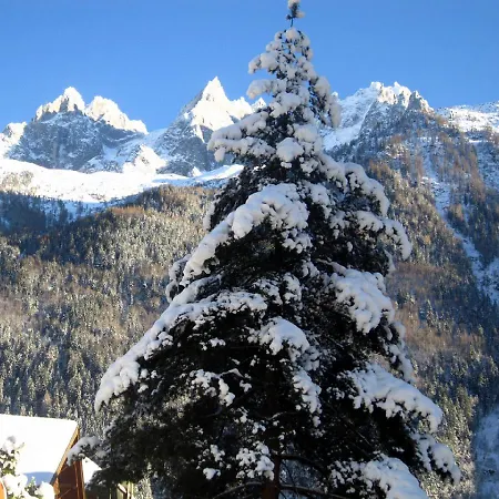 Androsacea * Chamonix
