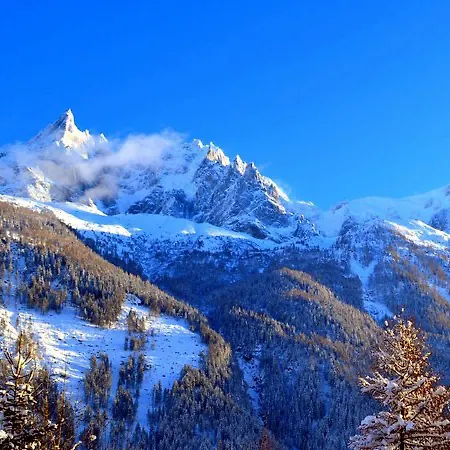 Apartment Androsacea Chamonix